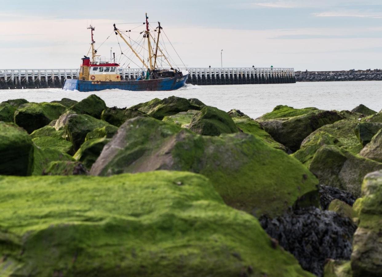 Oosternest Ostend